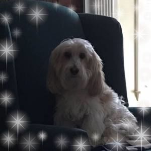 Meet your Posher, Doris